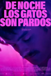 По ночам все кошки черные (фильм 2022)