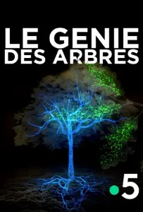 Деревья: гении мира природы (фильм 2020)