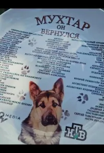 Мухтар. Он вернулся (сериал 2025)