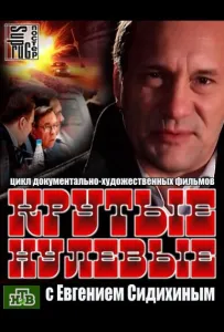 Крутые нулевые (сериал 2012)