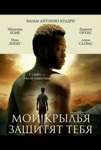Мои крылья защитят тебя (фильм 2024)