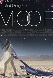 Неуместность (фильм 2019)