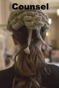 Адвокат (фильм 2019)