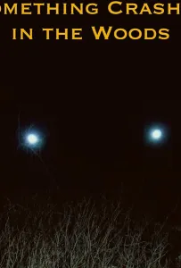 Крушение в лесу (фильм 2019)